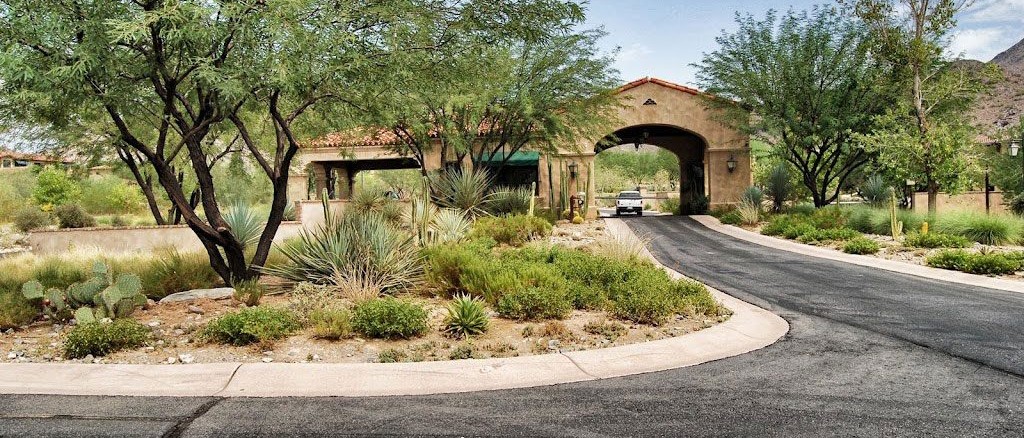 Exterior driveway design and landscaping