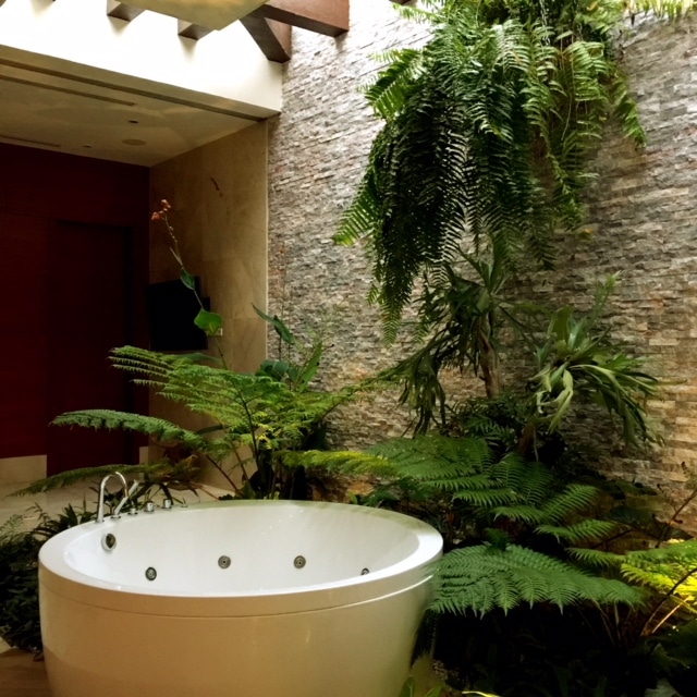 Outdoor spa bath surrounded by fern plants