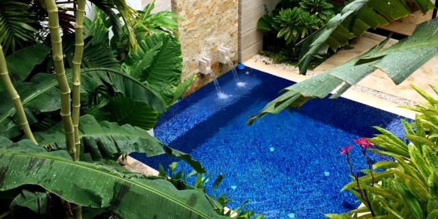 Aerial view of an in-ground pool surrounded by plants