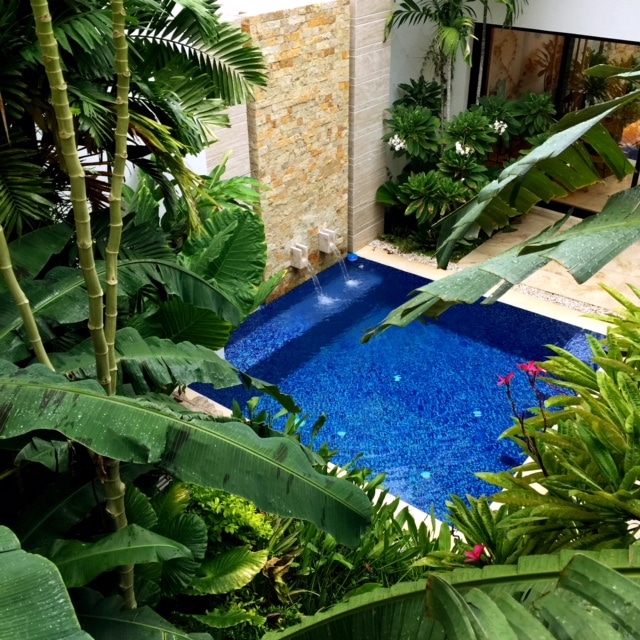 Aerial view of an in-ground pool surrounded by plants