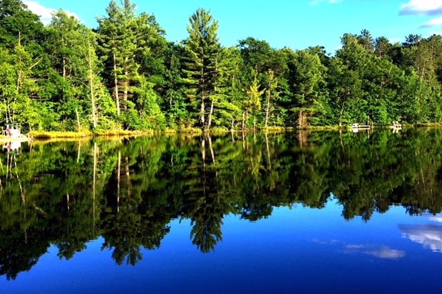 Crystal clear lake surrounded by trees