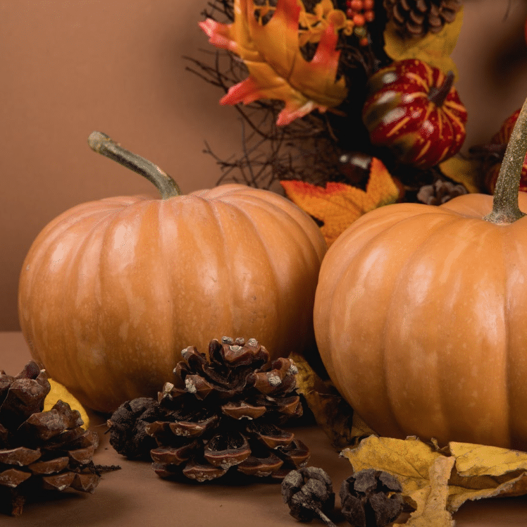 Two pumpkins surrounded by fall foliage and gourds