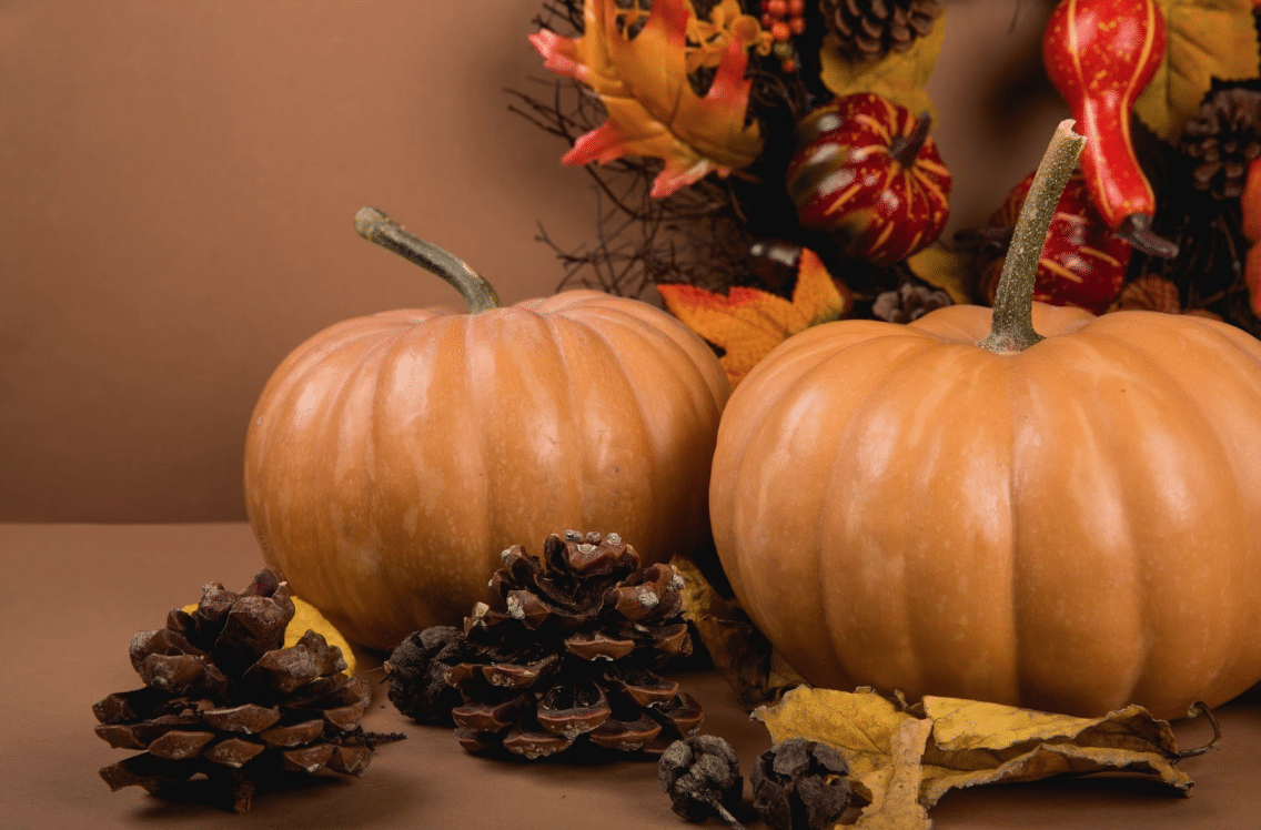 Two pumpkins surrounded by fall foliage and gourds