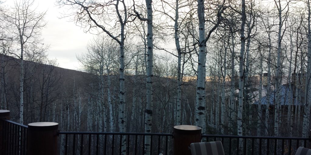 Mountains and trees outside of a Park City, UT, lodge